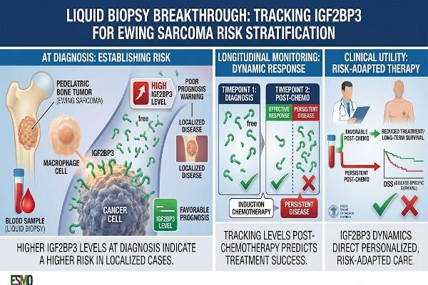 Circulating IGF2BP3 Can Help Predict Treatment Response In Ewing Sarcoma