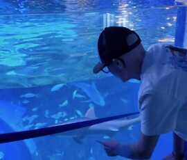 Matt at Mote Marine - Poking The Shark Matt at Mote Marine - Poking The Shark