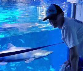 Matt at Mote Marine - Shark Swim By Matt at Mote Marine - Shark Swim By