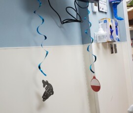 Happy Birthday decor Happy Birthday decor